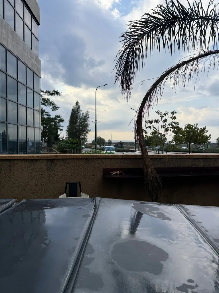 WhatsApp Image 2026 01 14 at 14.24.32 1 1 768x1024